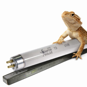 świetlówka dla gadów UVB