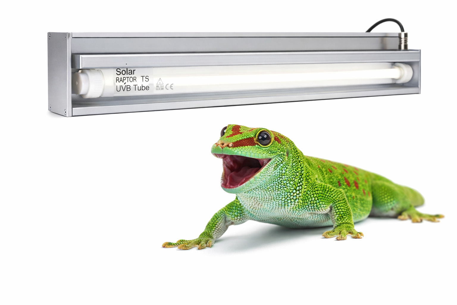 najlepsze UVB dla jaszczurki