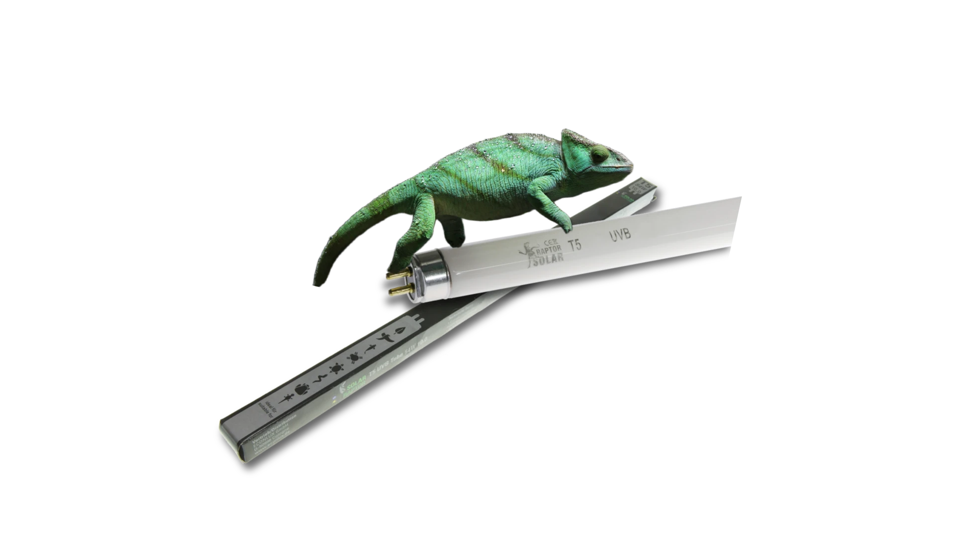 świetlówka t5 UVB