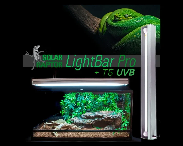 Zestaw Lampa i Świetlówka UVB do terrarium dla gadów pustynnych