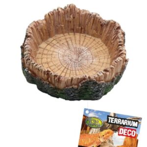 Mała miseczka do terrarium rozmiar 11x11x3cm