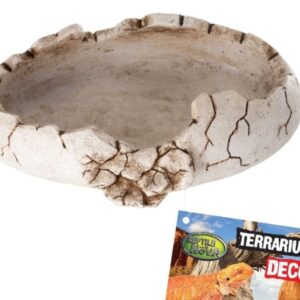 Mała miseczka do terrarium rozmiar 15,7x11,5x4cm