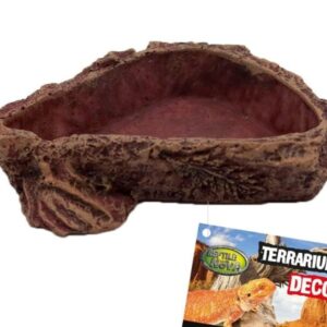 Bardzo mała miseczka do terrarium rozmiar 6x6x1 cm