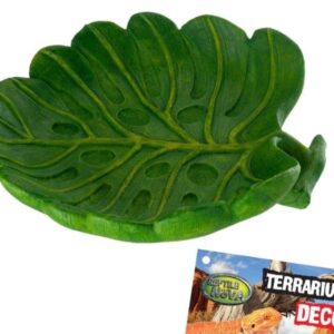 Mała miseczka do terrarium rozmiar 15x13,5x3,5cm