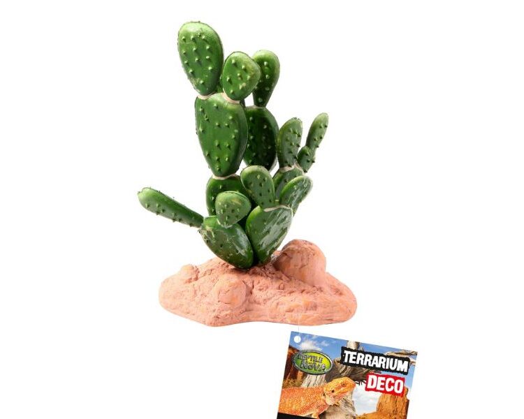 Sztuczna roślina kaktus opuncja 15cm do terrarium Repti Nova