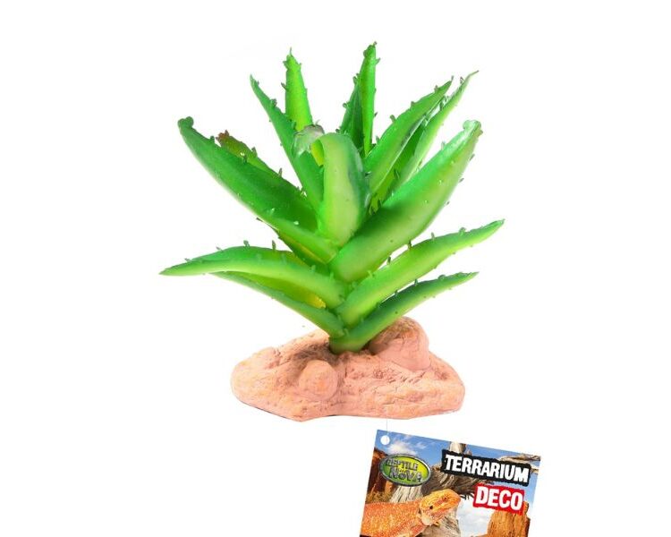 Roślina sztuczna Aloes 13cm do terrariów pustynnych Repti Nova