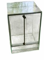 terrarium dla gekona orzęsionego