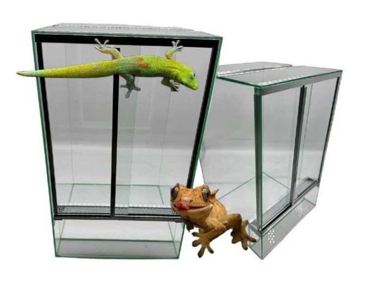 Terrarium szklane — oferta Turtles.pl