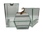 Terrarium dla patyczaków gilotyna z wentylacją Terrarium dla patyczaków terrarium 20x20x20 terrarium 20x20x30 terrarium 20x20x40