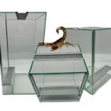 Terrarium dla patyczaków gilotyna z wentylacją Terrarium dla patyczaków terrarium 20x20x20 terrarium 20x20x30 terrarium 20x20x40