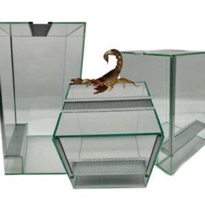 Terrarium dla patyczaków gilotyna z wentylacją Terrarium dla patyczaków terrarium 20x20x20 terrarium 20x20x30 terrarium 20x20x40