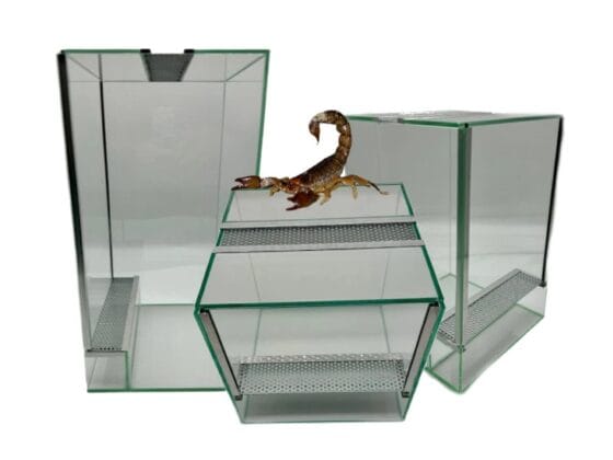 Terrarium dla patyczaków gilotyna z wentylacją Terrarium dla patyczaków terrarium 20x20x20 terrarium 20x20x30 terrarium 20x20x40