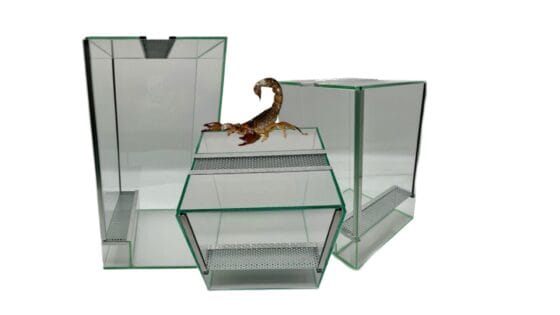Terrarium dla patyczaków gilotyna z wentylacją Terrarium dla patyczaków terrarium 20x20x20 terrarium 20x20x30 terrarium 20x20x40