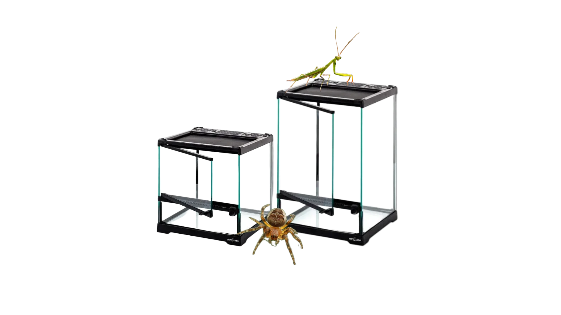 Repti-Zoo terrarium dla modliszki, pająka terrarium dla modliszki