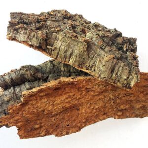 Kora z dębu korkowego do terrarium płat roz. XL