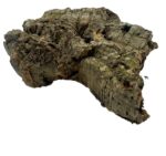 Kora z dębu korkowego do terrarium płat roz. S 17-20cm - obrazek 4