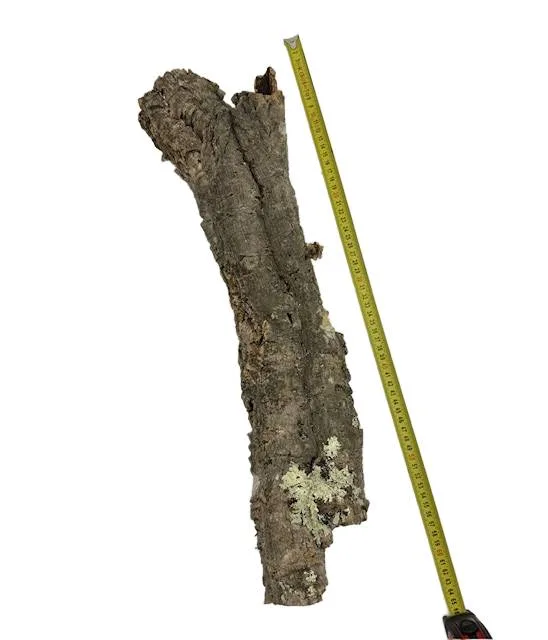 Wąskie tuby korkowe do terrarium 6-7cm / 54-57cm - obrazek 4