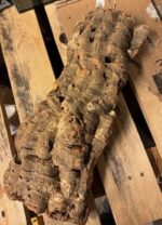 Kora z dębu korkowego do terrarium płat roz. XL - obrazek 2