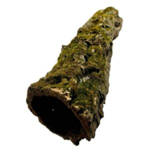 Długie tuby korkowe - naturalna kryjówka dla gadów nadrzewnych