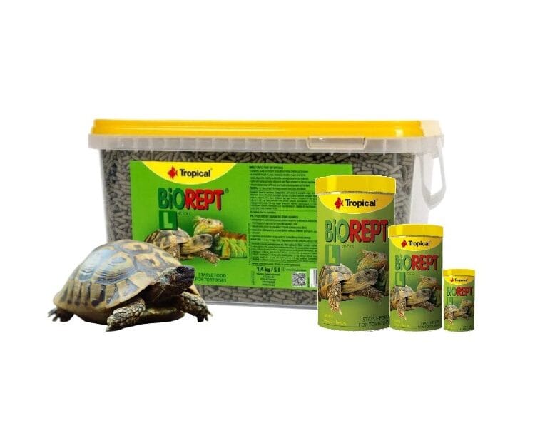 pokarm dla żółwi lądowych biorept l tropical