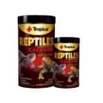 Reptiles Carnivore