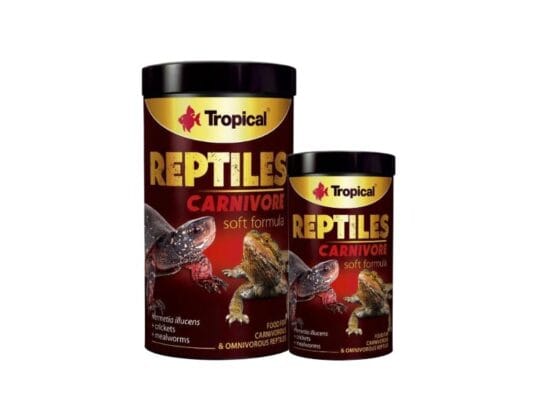 Reptiles Carnivore