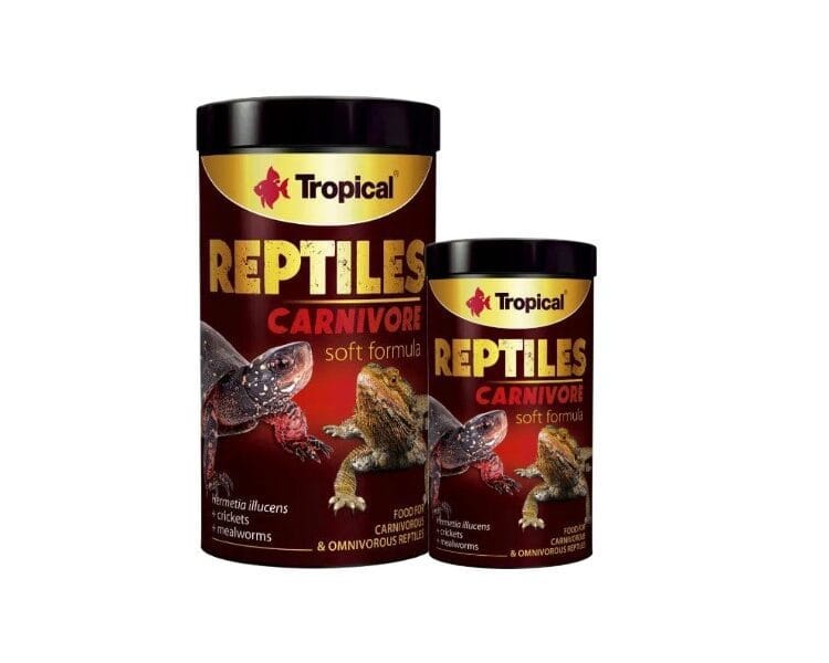 Reptiles Carnivore