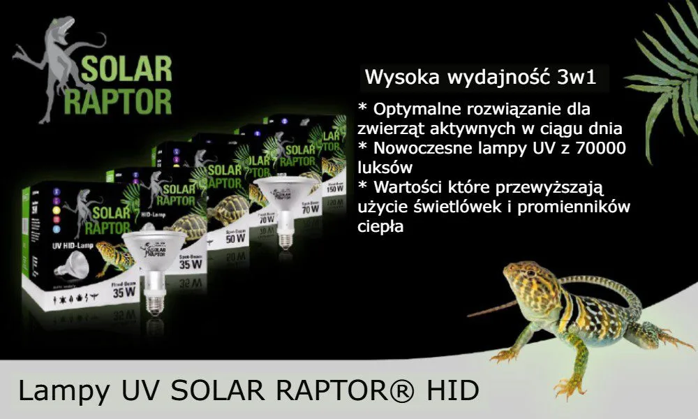 Marka solar raptor