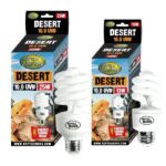 Reptile Nowa Desert 10.0