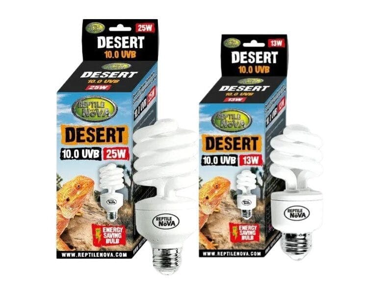 Reptile Nowa Desert 10.0