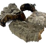 Kora z dębu korkowego do terrarium płat roz. XS 8-15cm - obrazek 2