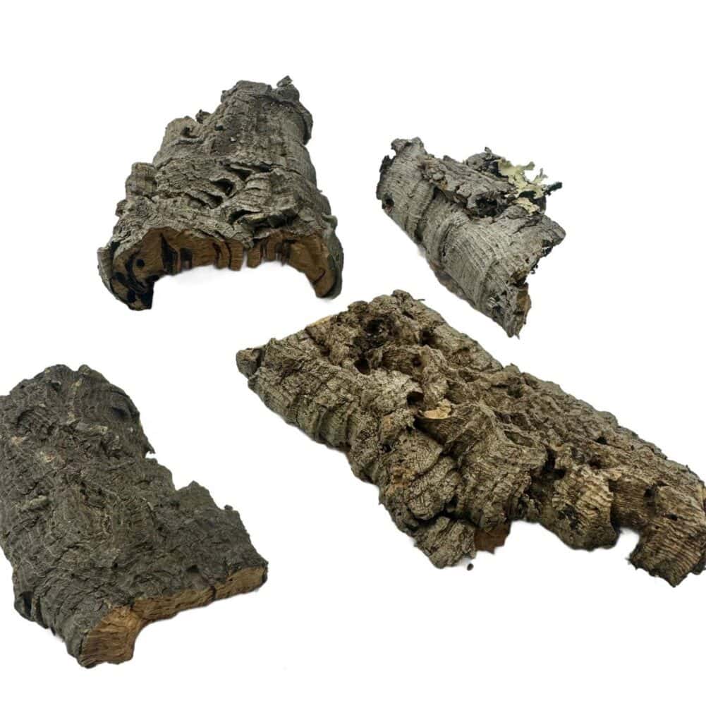 ścinki korkowe Kora z dębu korkowego do terrarium płat roz. XS 8-15cm