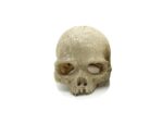 Ludzka czaszka kryjówka do terrarium dla gadów rozmiar 11x14cm - obrazek 2