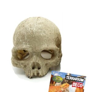 Ludzka czaszka kryjówka do terrarium dla gadów rozmiar 11x14cm