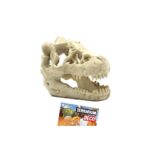 Czaszka dinozaura kryjówka do terrarium