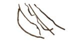 Liana naturalna Sapla Thick 100cm - obrazek 2