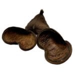 Łupina orzecha Badam 10-14 cm otwarta