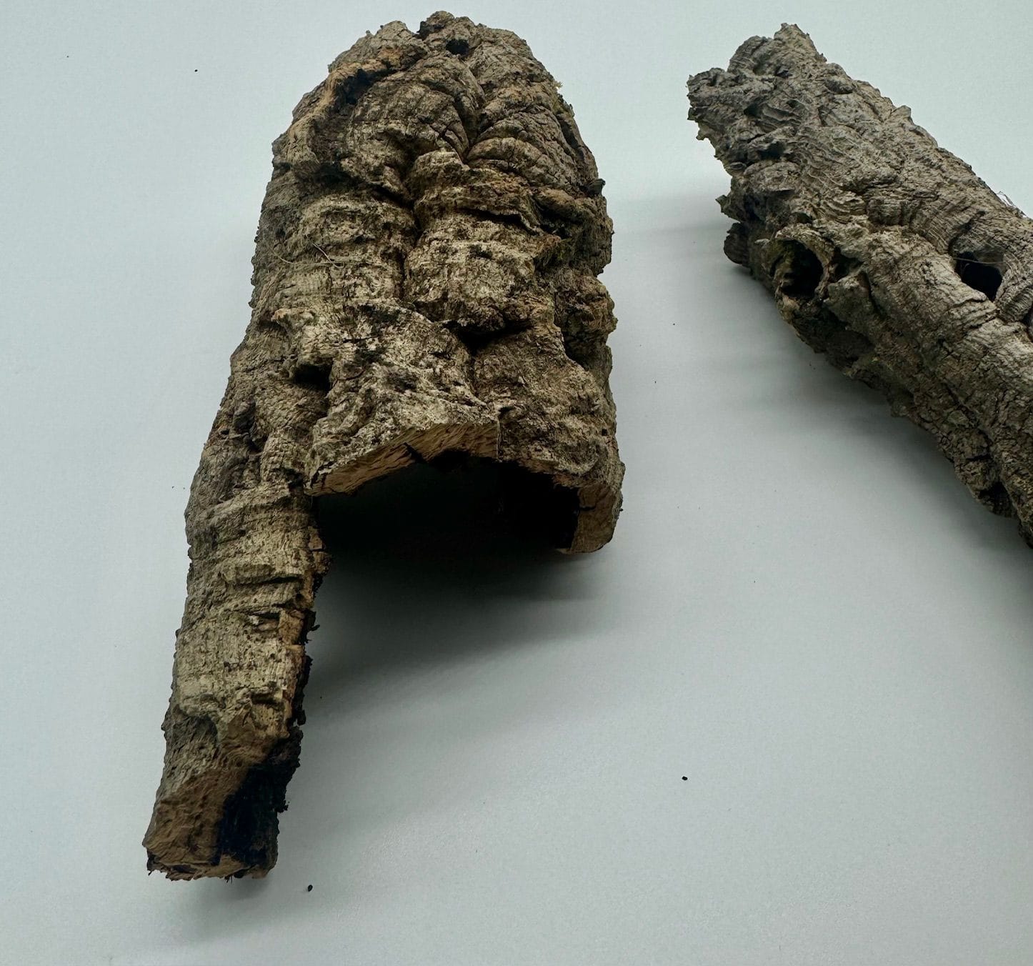 Tuby korkowe tuba korkowa dębowa do terrarium 17-23cm / 4-6cm Tuby korkowe tuba korkowa dębowa do terrarium 17-23cm / 4-6cm - obrazek 3