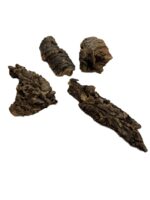 Kora z dębu korkowego do terrarium płat roz. XXS 4-7cm - obrazek 2