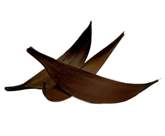 Łupina skorupy kokosa coco shell 25-30 cm - obrazek 2