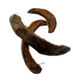 Coco moon 15-20cm - obrazek 2