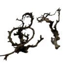 Gałązki do terrarium Canta Branch Head - obrazek 2