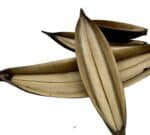 Boat mini 1szt ozdoba do terrarium - obrazek 3
