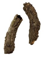 Wąskie tuby korkowe tuba korkowa dębowa 25-30cm / 4-6cm - obrazek 2