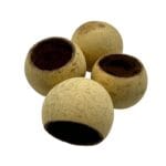 Tykwa Bell cup naturalna 5-7 cm 1szt.