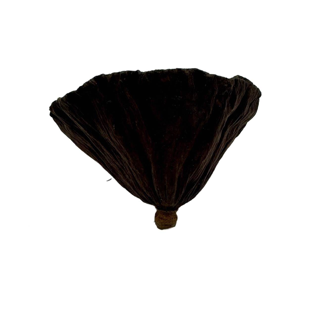 Suszony lotos XL 10cm do terrarium Suszony lotos XL 10cm do terrarium - obrazek 3