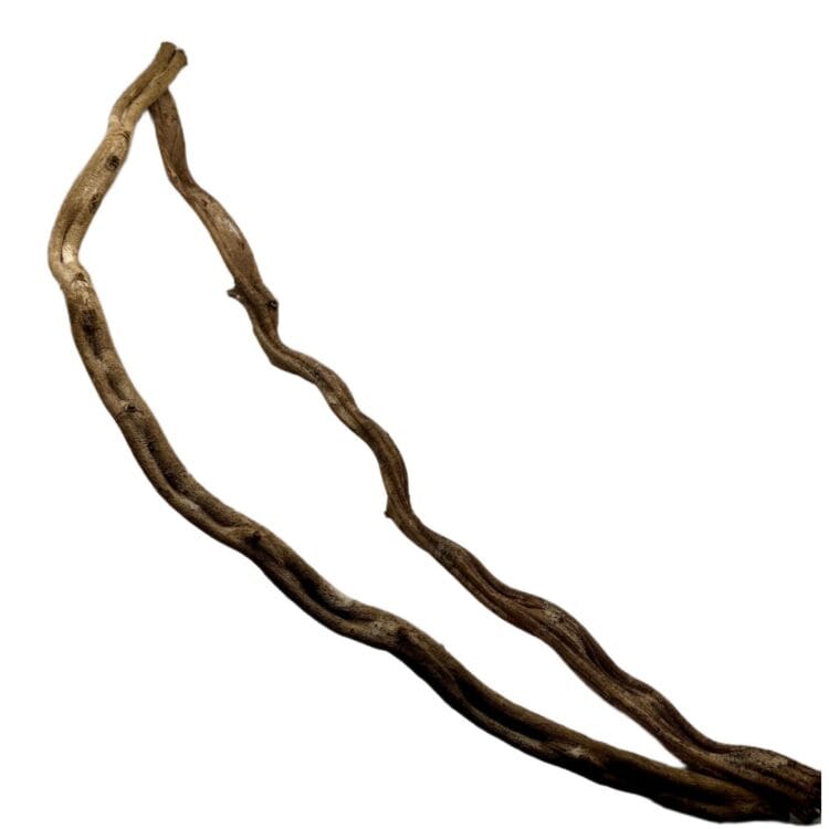 liana naturalna