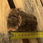 Tuby korkowe do terrarium 7-8cm / 4-5cm - obrazek 3