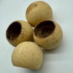 Tykwa Bell cup 3-5 cm naturalna 1szt.