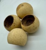 Tykwa Bell cup 3-5 cm naturalna 1szt.